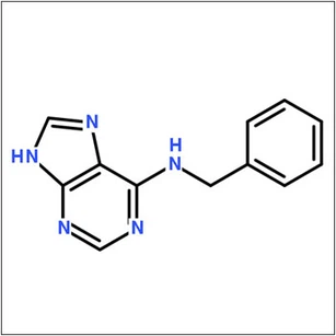 6-Benzylaminopurine 6-Benzylaminopurine