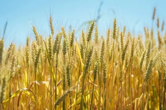 u20526243233145999018fm253fmtautoapp138fPNG u20526243233145999018fm253fmtautoapp138fPNG