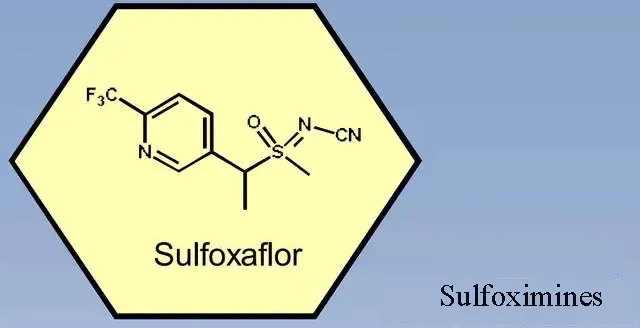 info-640-328 info-640-328