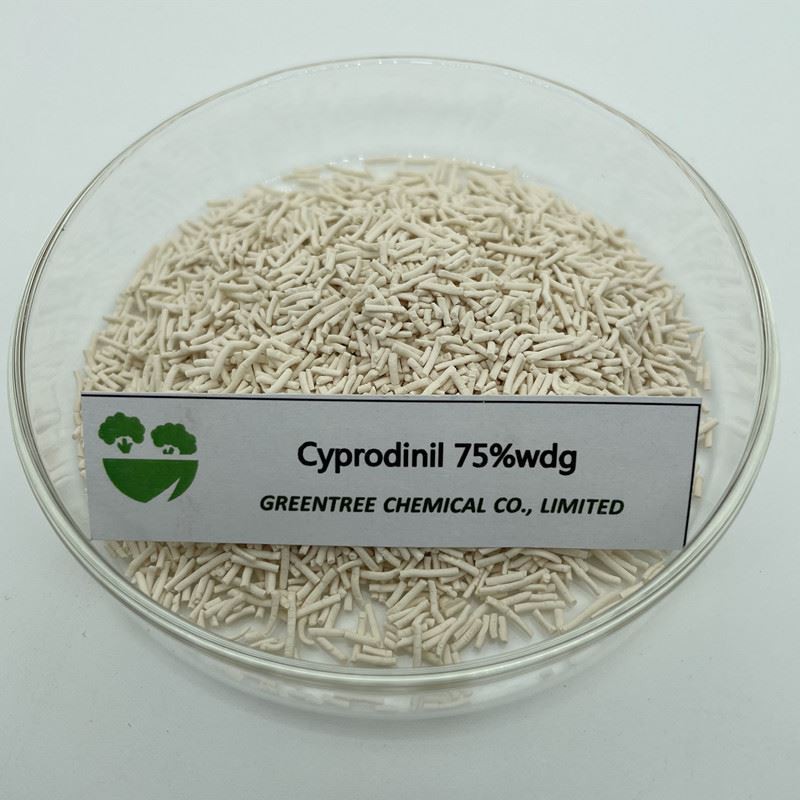 CAS رقم. 121552-61-2 Cyprodinil Fungicide 75 بالمائة wdg 98 بالمائة tc