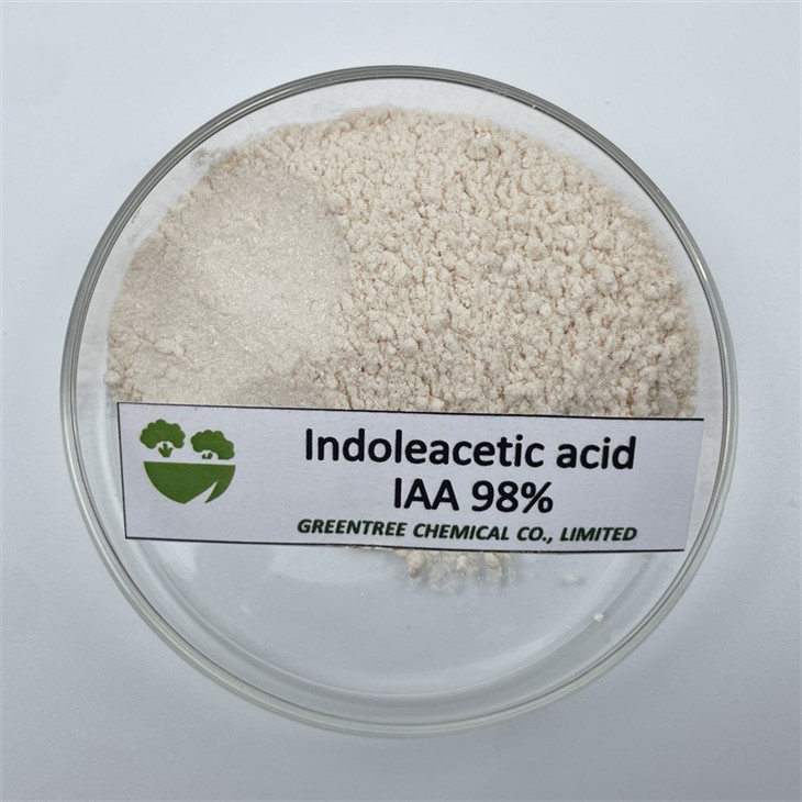 Iaa Hormon Indole Plant Growth-Hormone Regulator Indoleacetic acid IAA 98 بالمائة Tc CAS 87-51-4