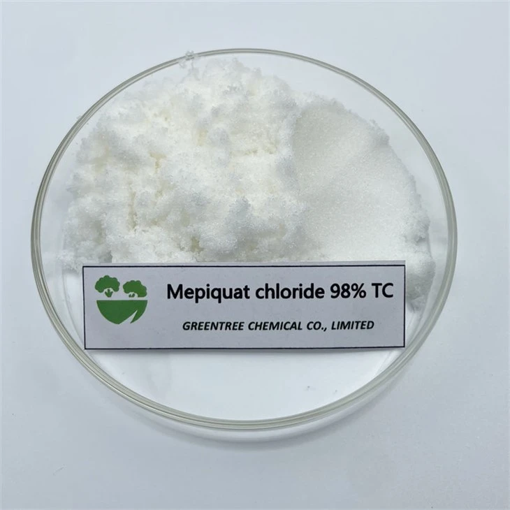 سماد Mepiquat Chloride 98 بالمائة Tc Pgr هرمون نمو النبات 24307-26-4