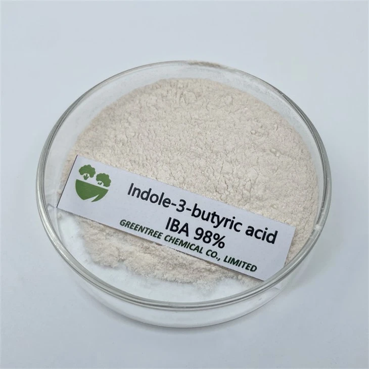 Iba Phytochemical Growth Regulator Indole-3-Butyric Acid CAS 133-32-4