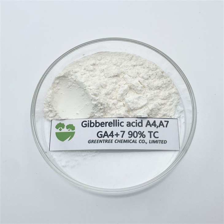 منظمات نمو النباتات المصنعة بشكل احترافي Gibberellin 90 بالمائة Tc Ga4 plus 7
