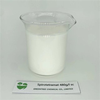 C21H27NO5 Spirotetramat 480 جم / لتر مبيد حشري SC
