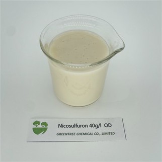 CAS رقم. 111991-09-4 Nicosulfuron Herbicide 40 جم / لتر OD