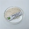 هل يمكن استخدام حمض النفثالين أسيتيك (NAA) لزيادة عدد الفروع في النباتات؟