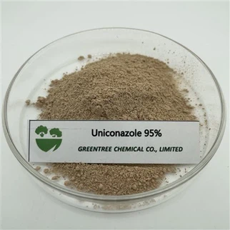 زيادة هرمون النبات الكيمياوي الزراعي Uniconazole 5 بالمائة Wp 95 بالمائة Tc