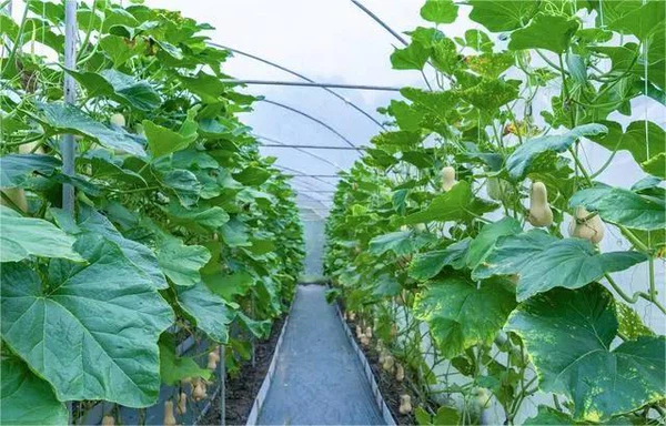 info-640-410 info-640-410