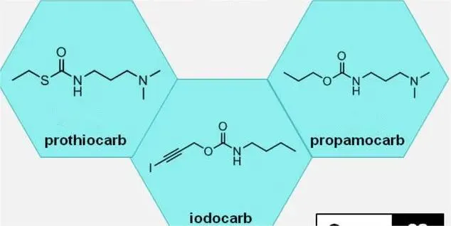 info-634-318 info-634-318